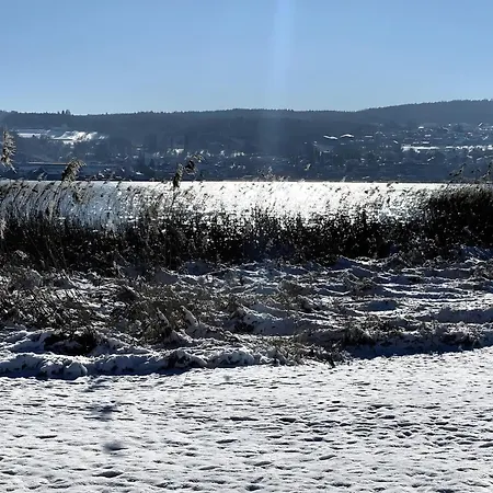 Seezauber Direkt Am Wasser Apartment Reichenau