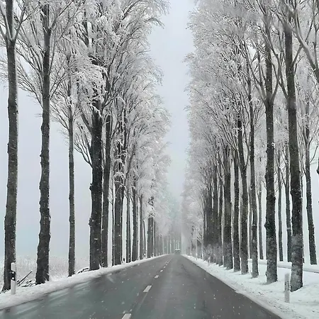 アパート Seezauber Direkt Am Wasser