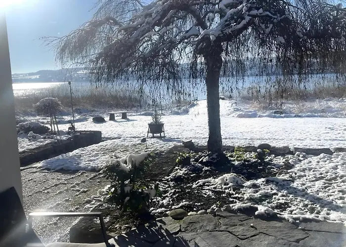 アパート Seezauber Direkt Am Wasser ライヒェナウ