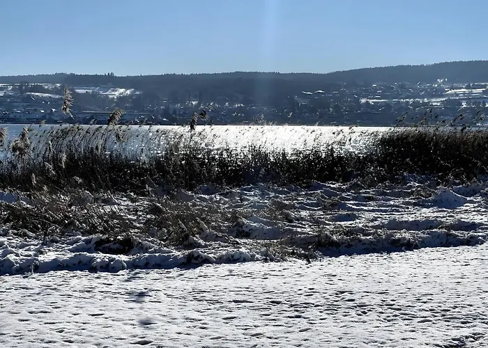 Seezauber Direkt Am Wasser アパート ライヒェナウ